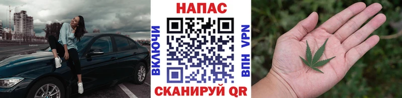 МАРИХУАНА план  Котельнич 